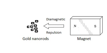 A magnet can push away gold, bismuth, and polysterene nanoparticles due to their diamagnetism.