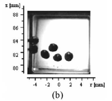 Magnetic levitation of Particles (1 micron, Bismuth)